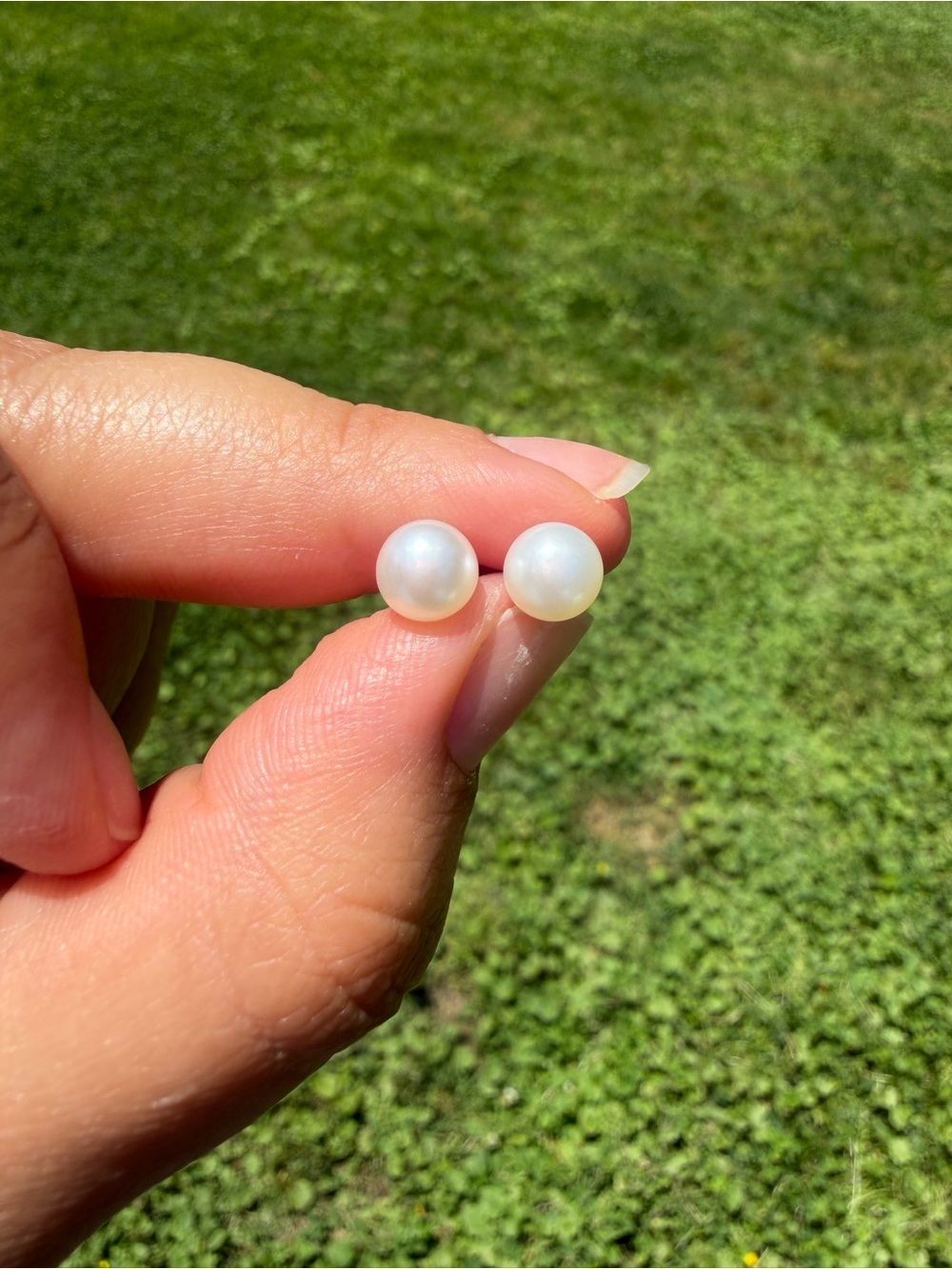 10k Gold  White Pearl Stud Earrings 5mm